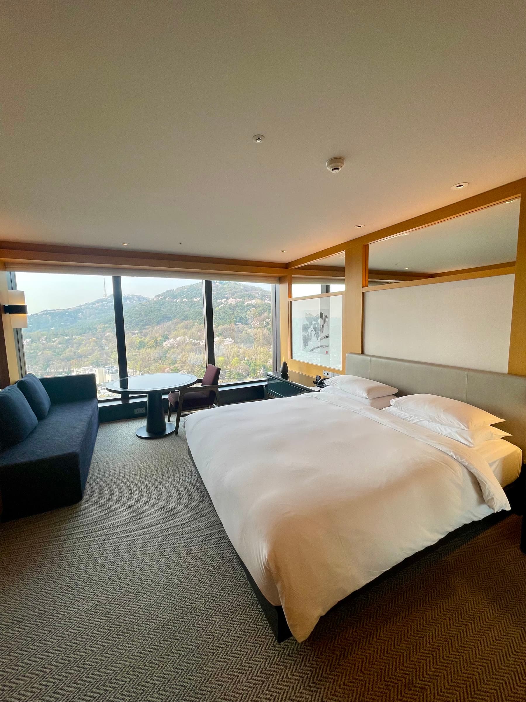 King Room với cửa kính lớn nhìn ra đồi Namsan