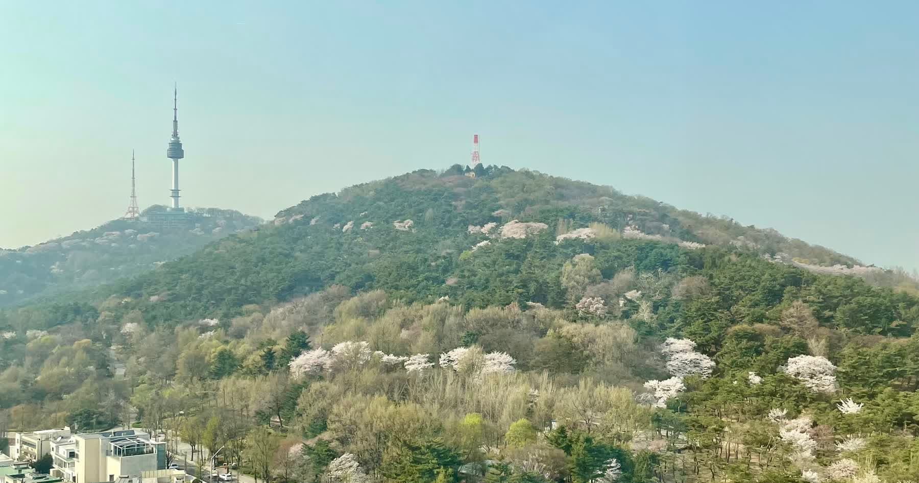 Grand Hyatt Seoul Review – 43,000 Hyatt Points cho 2 đêm giữa mùa hoa anh đào